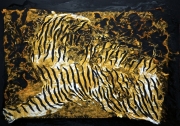 Flaming tiger 2010